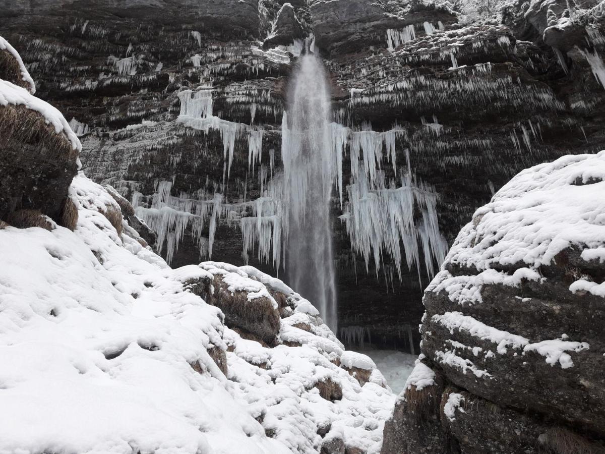 Apartma Pika Mojstrana Exteriér fotografie