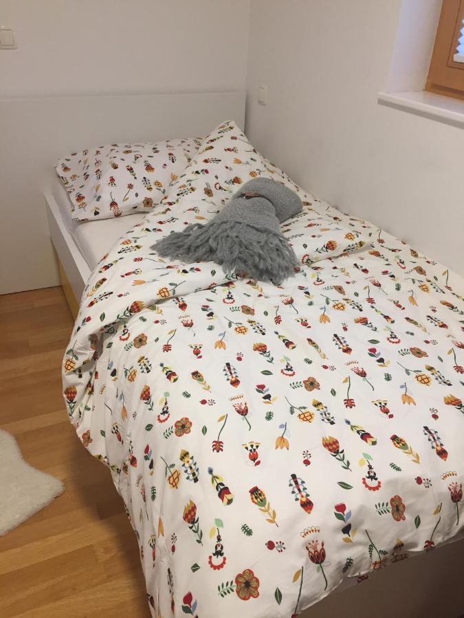 Apartma Pika Mojstrana Exteriér fotografie