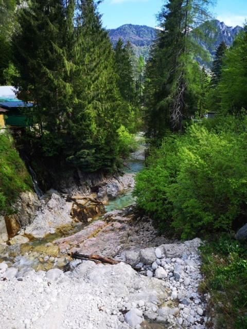 Apartma Pika Mojstrana Exteriér fotografie